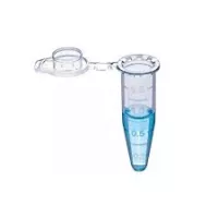 Eppendrof Tube 1.5ml