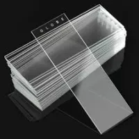 Microscope Slide 7101
