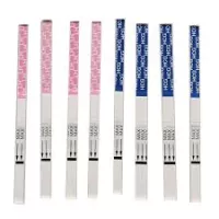 Hcg Pregnancy Rapid Test Strip