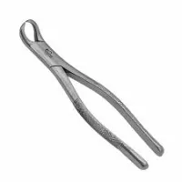 Extraction Forceps Cowhorn