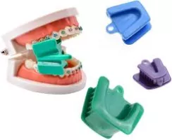 Mouth Prop Small Medium,L