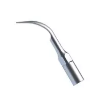 Scaler tip