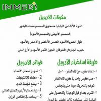 ادول