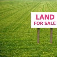 ارض زراعية للبيع