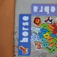 Animal Alphabet Pairing for Kids Educational Toys