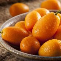 برتقال كيم كوات صيني