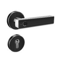 handle smart lock