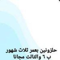 عرض العيد الاضحى 