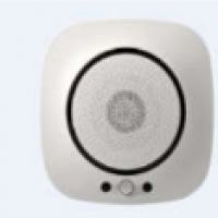 GAS lesk detection