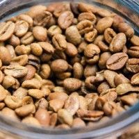  رطل بن حب